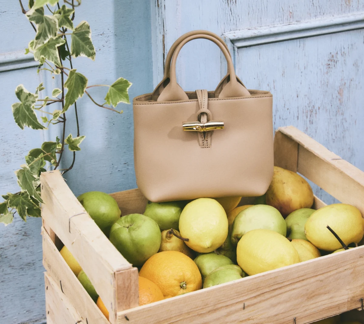 Longchamp_thumbnail